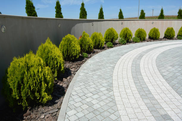 Best Driveway Resurfacing Services in Caseyvle, IL